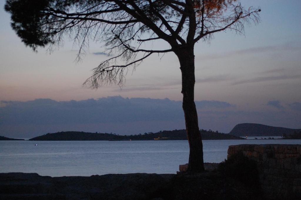 Villa Dedem Hotel Foca Kültér fotó